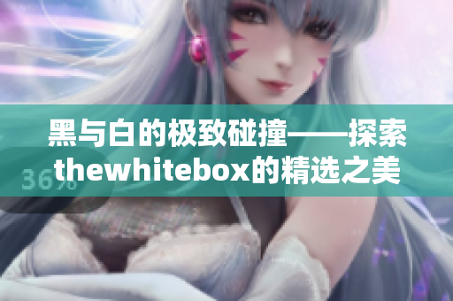 黑与白的极致碰撞——探索thewhitebox的精选之美