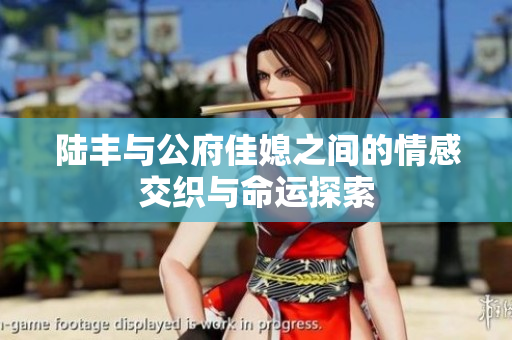 陆丰与公府佳媳之间的情感交织与命运探索