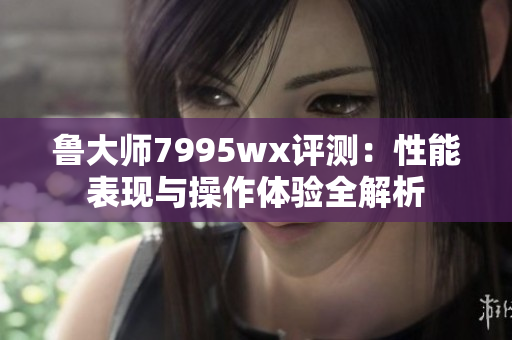 鲁大师7995wx评测：性能表现与操作体验全解析