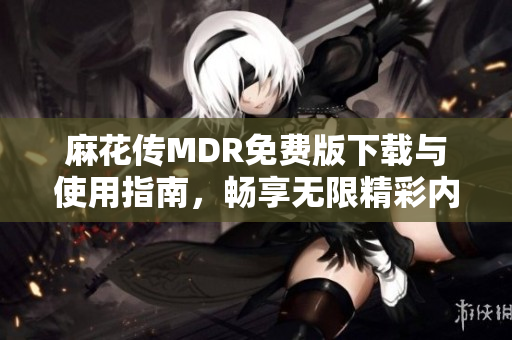 麻花传MDR免费版下载与使用指南，畅享无限精彩内容