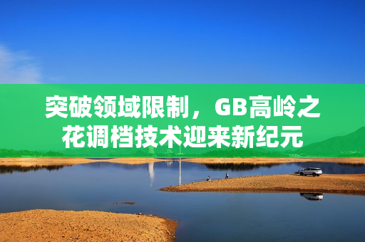 突破领域限制，GB高岭之花调档技术迎来新纪元