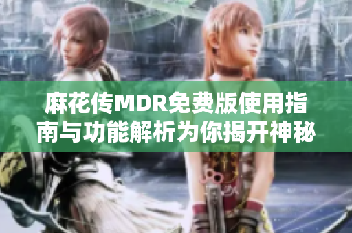 麻花传MDR免费版使用指南与功能解析为你揭开神秘面纱