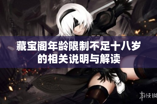 藏宝阁年龄限制不足十八岁的相关说明与解读