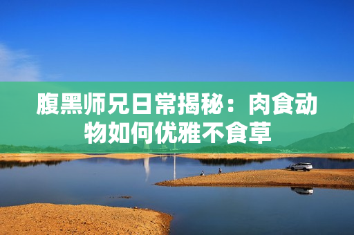 腹黑师兄日常揭秘：肉食动物如何优雅不食草