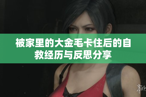 被家里的大金毛卡住后的自救经历与反思分享