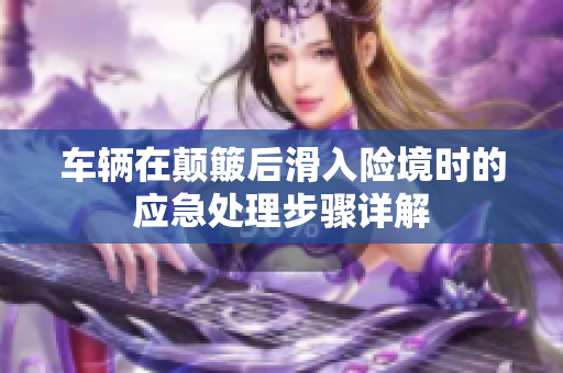 车辆在颠簸后滑入险境时的应急处理步骤详解