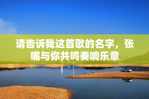 请告诉我这首歌的名字，张嘴与你共鸣奏响乐章