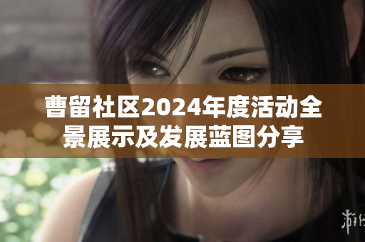 曹留社区2024年度活动全景展示及发展蓝图分享