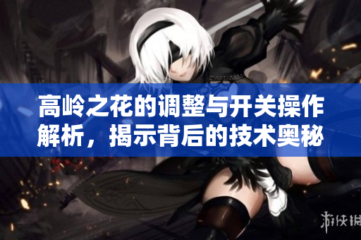 高岭之花的调整与开关操作解析，揭示背后的技术奥秘