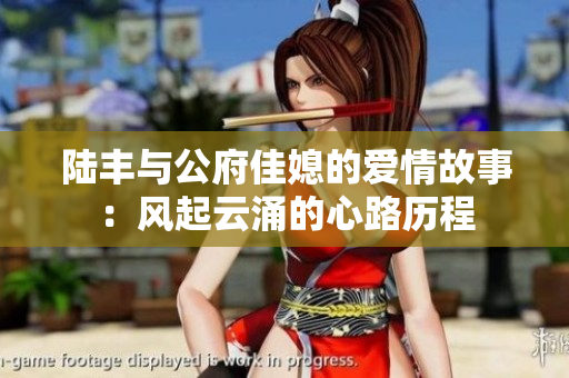陆丰与公府佳媳的爱情故事：风起云涌的心路历程