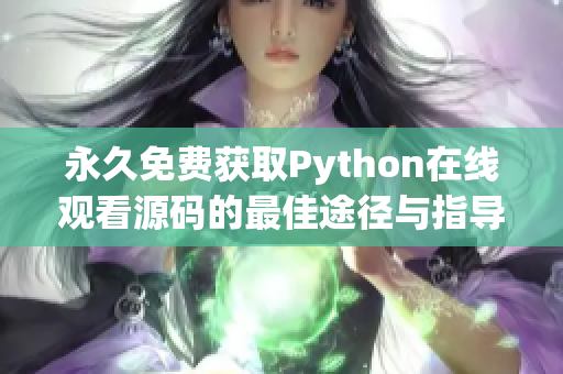 永久免费获取Python在线观看源码的最佳途径与指导