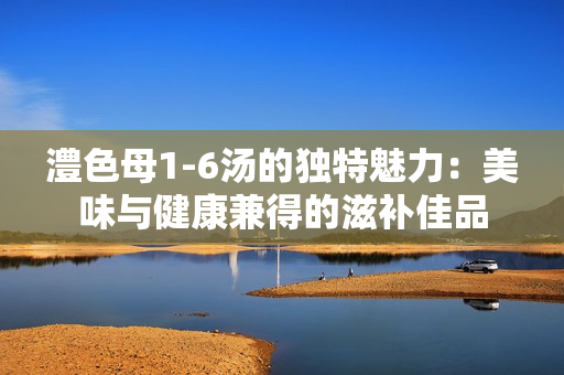 澧色母1-6汤的独特魅力：美味与健康兼得的滋补佳品