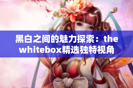 黑白之间的魅力探索：thewhitebox精选独特视角