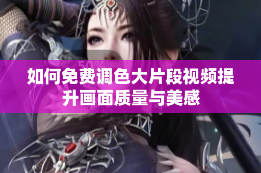 如何免费调色大片段视频提升画面质量与美感