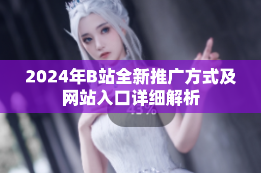 2024年B站全新推广方式及网站入口详细解析