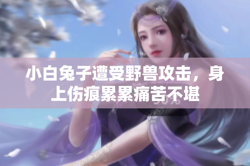小白兔子遭受野兽攻击，身上伤痕累累痛苦不堪