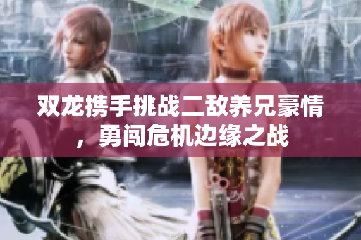 双龙携手挑战二敌养兄豪情，勇闯危机边缘之战