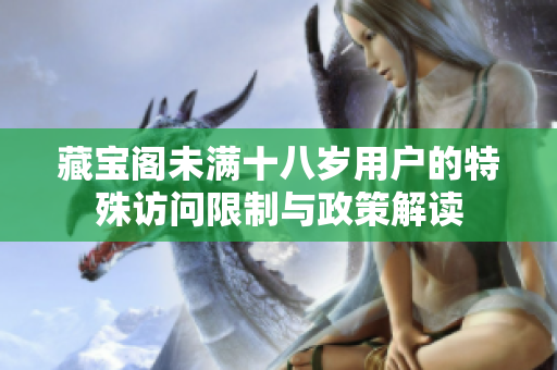 藏宝阁未满十八岁用户的特殊访问限制与政策解读