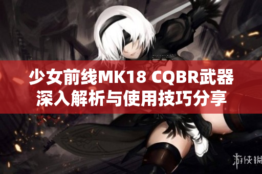 少女前线MK18 CQBR武器深入解析与使用技巧分享