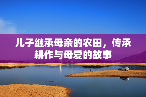 儿子继承母亲的农田，传承耕作与母爱的故事