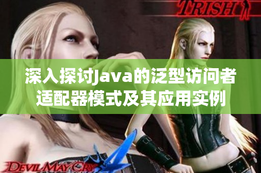 深入探讨Java的泛型访问者适配器模式及其应用实例