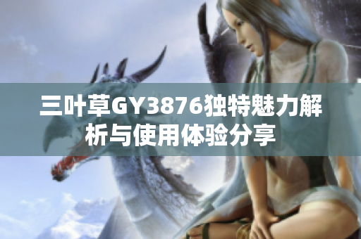 三叶草GY3876独特魅力解析与使用体验分享