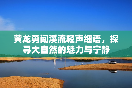 黄龙勇闯溪流轻声细语，探寻大自然的魅力与宁静