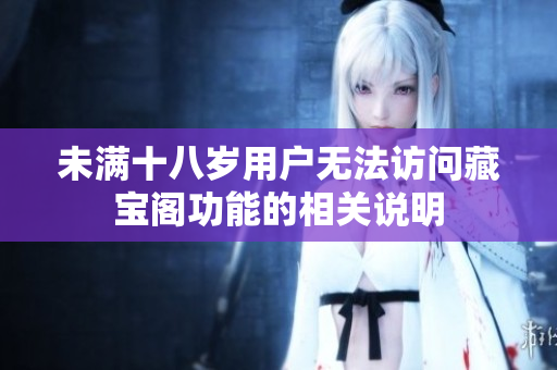 未满十八岁用户无法访问藏宝阁功能的相关说明