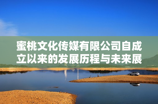 蜜桃文化传媒有限公司自成立以来的发展历程与未来展望