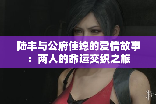 陆丰与公府佳媳的爱情故事：两人的命运交织之旅
