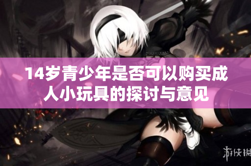 14岁青少年是否可以购买成人小玩具的探讨与意见