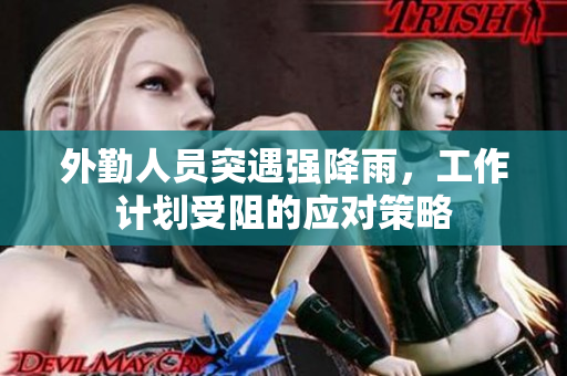 外勤人员突遇强降雨，工作计划受阻的应对策略