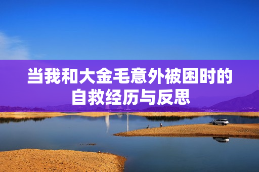 当我和大金毛意外被困时的自救经历与反思