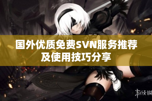 国外优质免费SVN服务推荐及使用技巧分享
