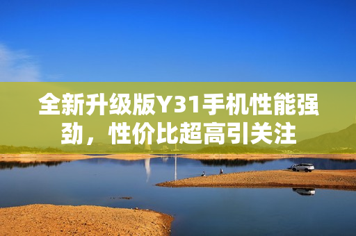 全新升级版Y31手机性能强劲，性价比超高引关注