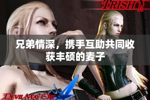 兄弟情深，携手互助共同收获丰硕的麦子