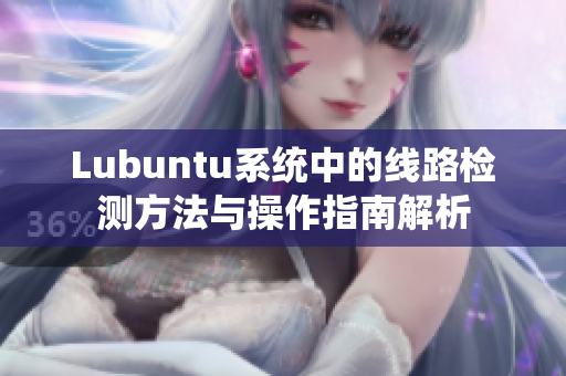 Lubuntu系统中的线路检测方法与操作指南解析