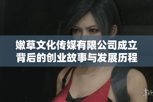 嫩草文化传媒有限公司成立背后的创业故事与发展历程