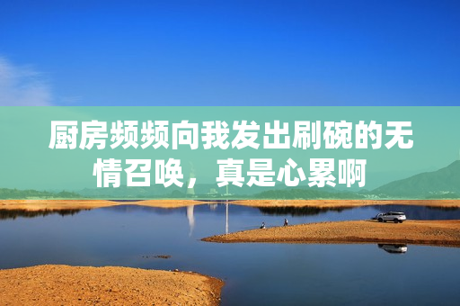 厨房频频向我发出刷碗的无情召唤，真是心累啊
