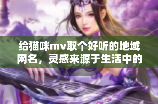 给猫咪mv取个好听的地域网名，灵感来源于生活中的点滴