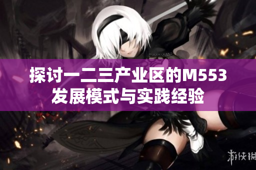探讨一二三产业区的M553发展模式与实践经验