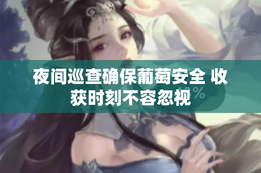 夜间巡查确保葡萄安全 收获时刻不容忽视