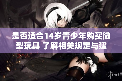是否适合14岁青少年购买微型玩具 了解相关规定与建议