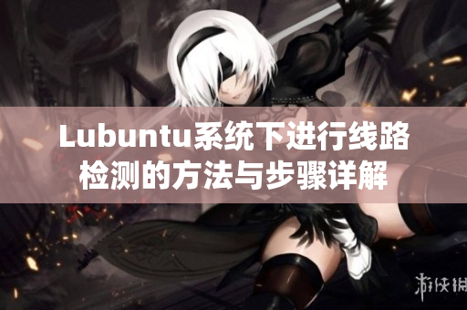 Lubuntu系统下进行线路检测的方法与步骤详解