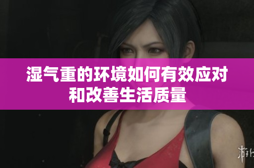 湿气重的环境如何有效应对和改善生活质量