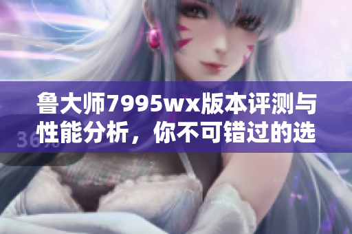 鲁大师7995wx版本评测与性能分析，你不可错过的选择