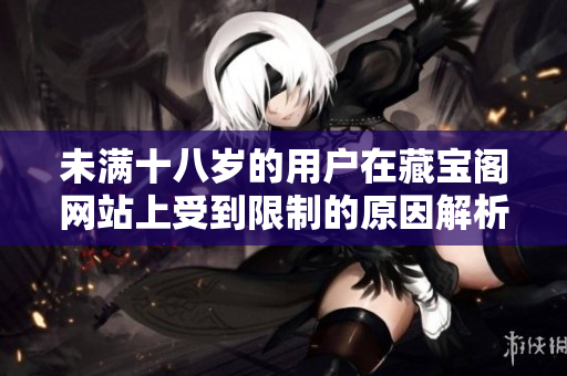 未满十八岁的用户在藏宝阁网站上受到限制的原因解析