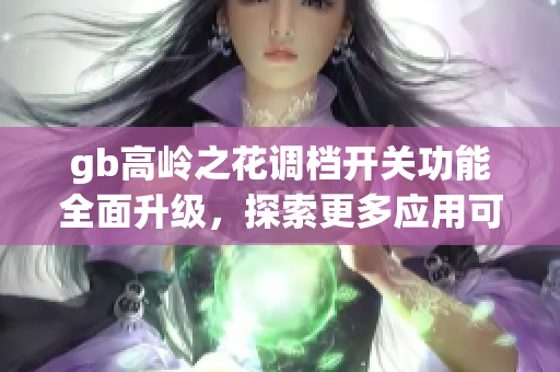 gb高岭之花调档开关功能全面升级，探索更多应用可能性