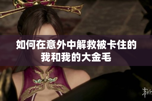 如何在意外中解救被卡住的我和我的大金毛