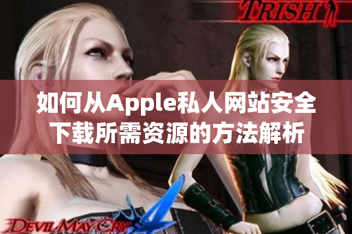 如何从Apple私人网站安全下载所需资源的方法解析
